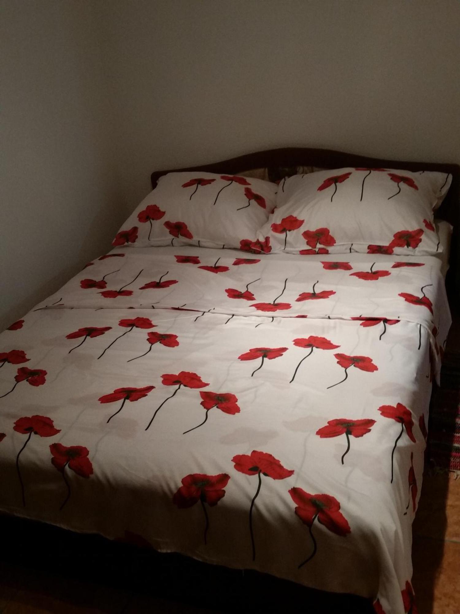 דירות קרלובג Apartmens Leona חדר תמונה